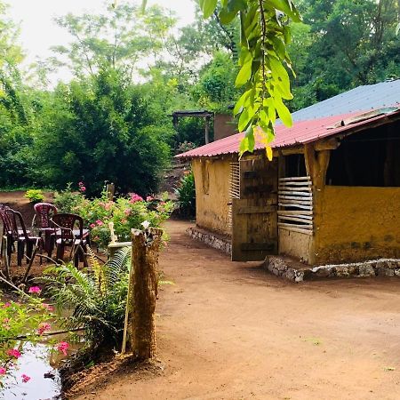 Eco Lodge Meemure & Adventure Park Mimure ภายนอก รูปภาพ