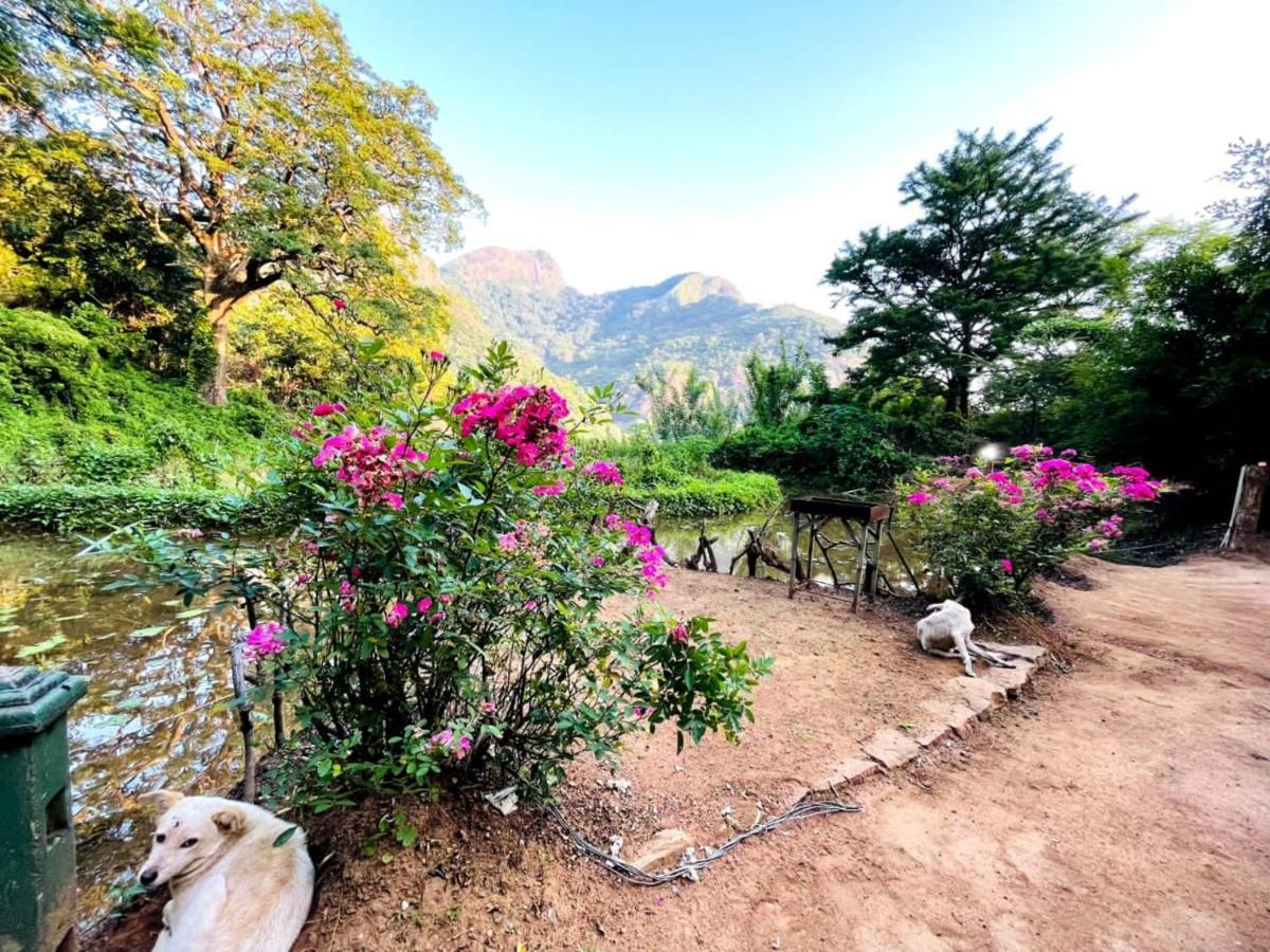 Eco Lodge Meemure & Adventure Park Mimure ภายนอก รูปภาพ