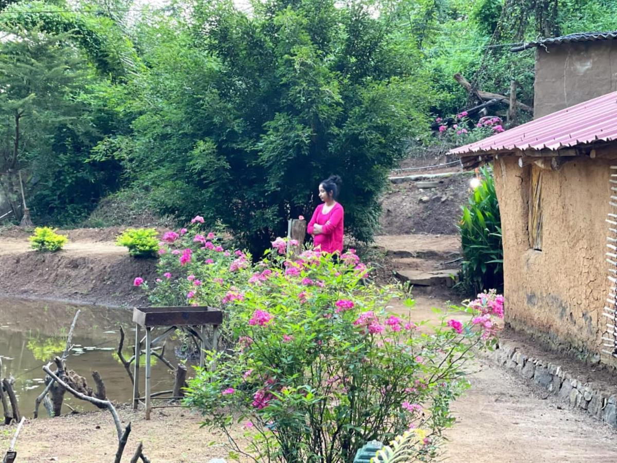 Eco Lodge Meemure & Adventure Park Mimure ภายนอก รูปภาพ