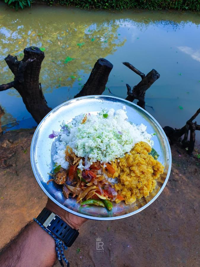 Eco Lodge Meemure & Adventure Park Mimure ภายนอก รูปภาพ