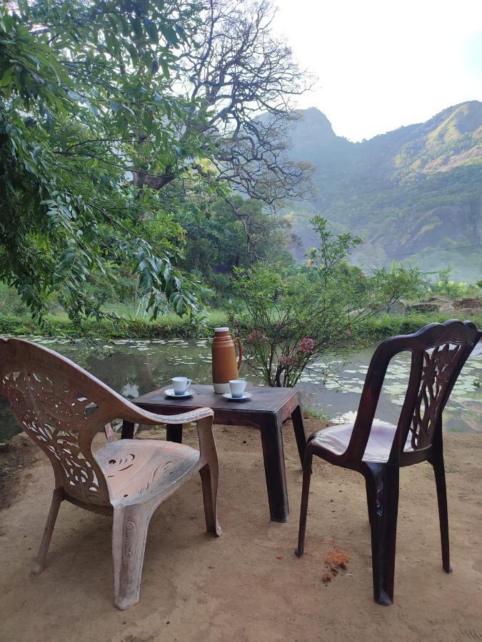 Eco Lodge Meemure & Adventure Park Mimure ภายนอก รูปภาพ