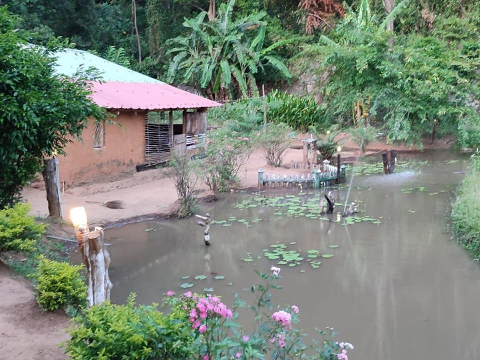 Eco Lodge Meemure & Adventure Park Mimure ภายนอก รูปภาพ