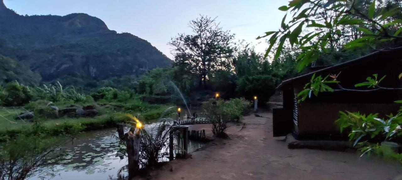 Eco Lodge Meemure & Adventure Park Mimure ภายนอก รูปภาพ