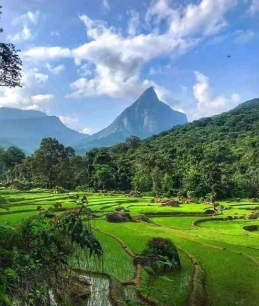 Eco Lodge Meemure & Adventure Park Mimure ภายนอก รูปภาพ